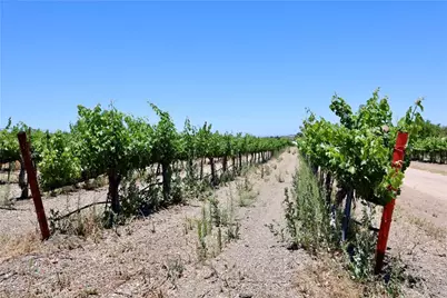 5575 El Pomar Drive, Templeton, CA 93465 - Photo 16