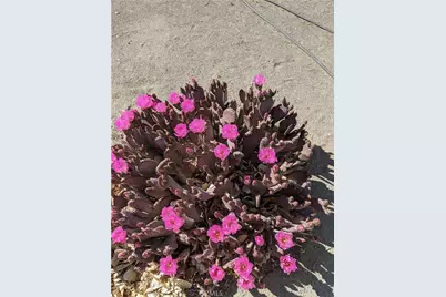 5124 Luna Road, Phelan, CA 92371 - Photo 52