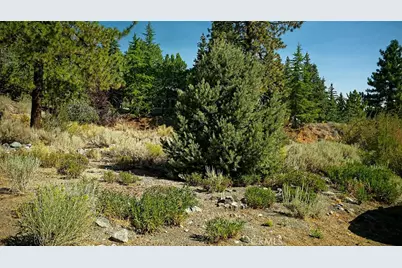 0 Zermatt Drive, Wrightwood, CA 92397 - Photo 14