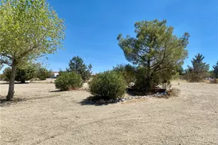 11226 Ponderosa Rd, Pinon Hills, CA 92372 - Photo 20