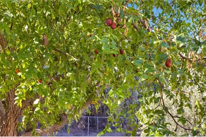 10099 Highland Avenue, Lucerne Valley, CA 92356 - Photo 30