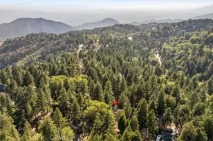 31358 Lightfoot Way, Running Springs, CA 92382 - Photo 32