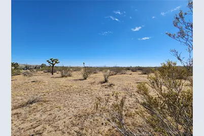 1901 Old Woman Springs Road, Yucca Valley, CA 92285 - Photo 8