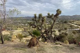 55914 Sunnyslope, Yucca Valley, CA 92284 - Photo 48