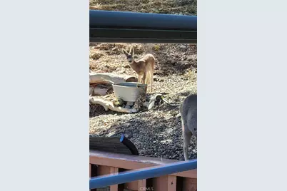 5180 Lone Pine Canyon, Wrightwood, CA 92397 - Photo 44