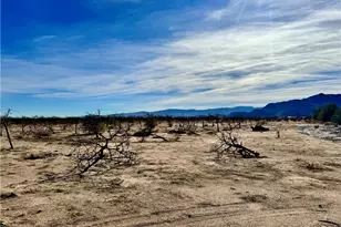 44823 Silver Valley, Newberry Springs, CA 92365 - Photo 66