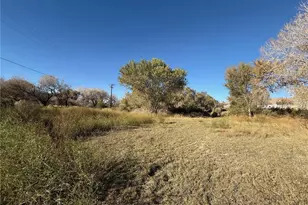 19766 Polish, Oro Grande, CA 92368 - Photo 14