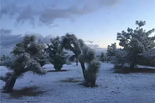 3996 Yucca Terrace, Phelan, CA 92371 - Photo 56