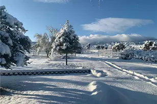 3996 Yucca Terrace, Phelan, CA 92371 - Photo 50