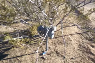 9193 Joshua, Apple Valley, CA 92308 - Photo 36