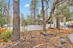 2046 Thrush, Wrightwood, CA 92397 - Photo 44