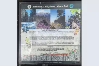 2046 Thrush, Wrightwood, CA 92397 - Photo 4