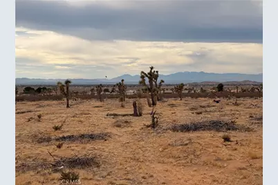 16252 Olema Road, Apple Valley, CA 92307 - Photo 6