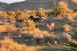 20240 Juniper, Apple Valley, CA 92308 - Photo 24