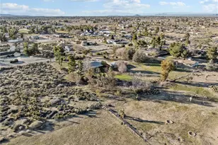 10011 Alta Mesa, Phelan, CA 92371 - Photo 46