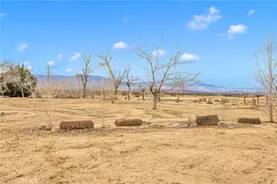 47424 Paddington, Landers, CA 92285 - Photo 44