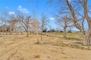 47424 Paddington, Landers, CA 92285 - Photo 40