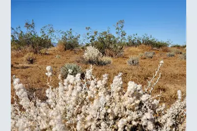 2 Ac Ave L12, Lake Los Angeles, CA 93535 - Photo 2