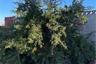 313 Broadway, Barstow, CA 92311 - Photo 24