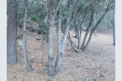 0 Desert View, Wrightwood, CA 92397 - Photo 8