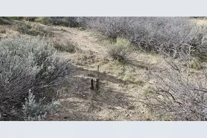 8243 Simson Rd, Pinon Hills, CA 92372 - Photo 6