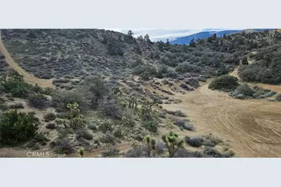 8243 Simson Rd, Pinon Hills, CA 92372 - Photo 16