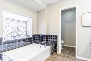 46334 Alamosa, Newberry Springs, CA 92365 - Photo 44