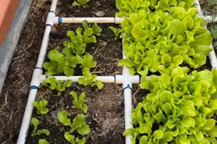 10972 Admirals Bay, Victorville, CA 92392 - Photo 8