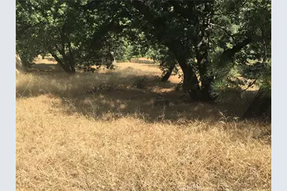 30481 Live Oak, Running Springs, CA 92382 - Photo 2