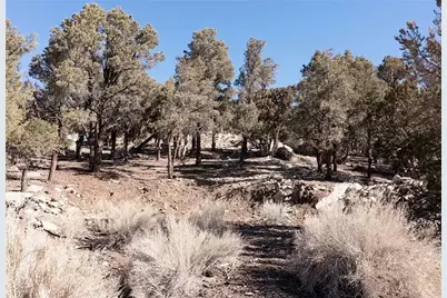 0 Lakeview Drive, Big Bear City, CA 92314 - Photo 4