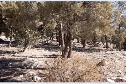 0 Lakeview Drive, Big Bear City, CA 92314 - Photo 6