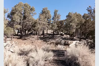 0 Lakeview Drive, Big Bear City, CA 92314 - Photo 6