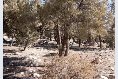 0 Lakeview Drive, Big Bear City, CA 92314 - Photo 18