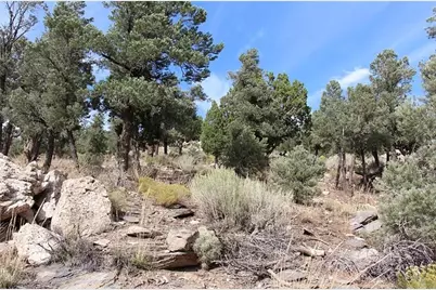 0 Lakeview Drive, Big Bear City, CA 92314 - Photo 16