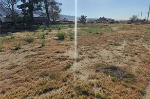 30423 Desert View, Lucerne Valley, CA 92356 - Photo 4