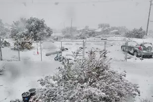 9030 Green, Pinon Hills, CA 92372 - Photo 1