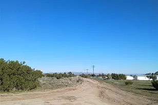 0 Yucca Terrace Rd, Phelan, CA 92371 - Photo 1