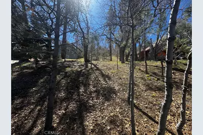 0 Oriole Road, Wrightwood, CA 92397 - Photo 2