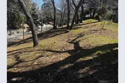 0 Oriole Road, Wrightwood, CA 92397 - Photo 10