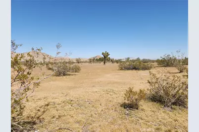 30600 Morningside Street, Lucerne Valley, CA 92356 - Photo 16