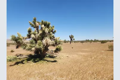 30600 Morningside Street, Lucerne Valley, CA 92356 - Photo 8
