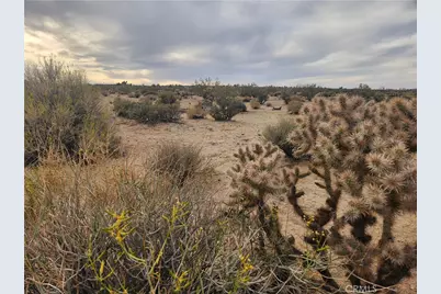 4147 Sunburst Street, Joshua Tree, CA 92252 - Photo 10