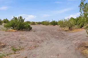 3038 White Fox Trail, Phelan, CA 92371 - Photo 36