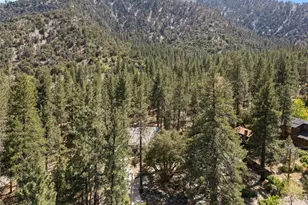 1535 Linnet, Wrightwood, CA 92397 - Photo 46