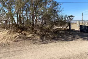 39375 Tami, Newberry Springs, CA 92365 - Photo 1
