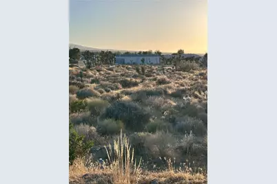 11561 Buena Vista, Pinon Hills, CA 92372 - Photo 18