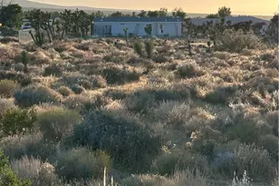 11561 Buena Vista, Pinon Hills, CA 92372 - Photo 18