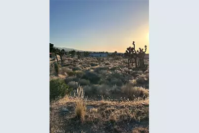 11561 Buena Vista, Pinon Hills, CA 92372 - Photo 16