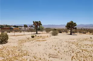 2620 Oasis St, Joshua Tree, CA 92252 - Photo 46