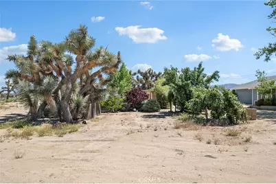10925 Buttonwood, Phelan, CA 92371 - Photo 40